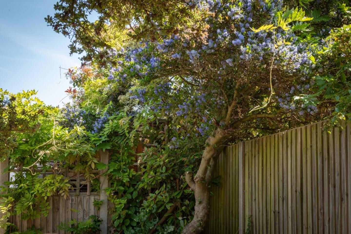 Eden Cottage Whitstable Eksteriør bilde